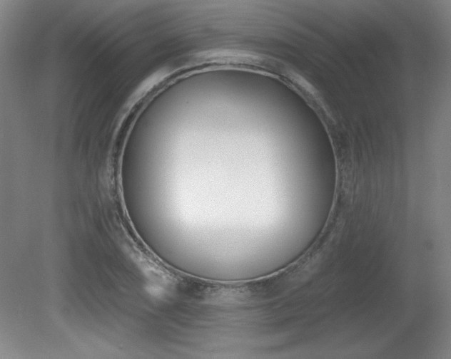 X0000082161074200701191235