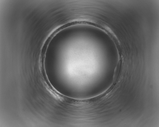 X0000082161076200701191235