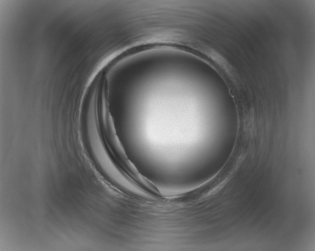 X0000082161077200701191235