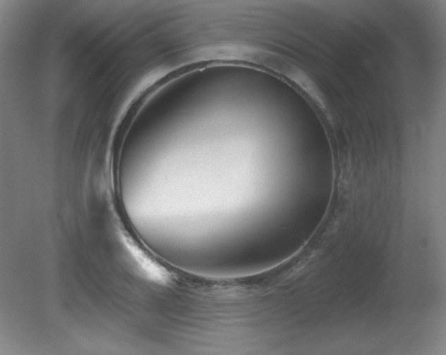 X0000082161080200701191235