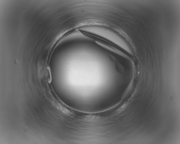 X0000082161081200701191235