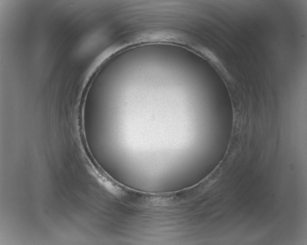 X0000082161086200701191235