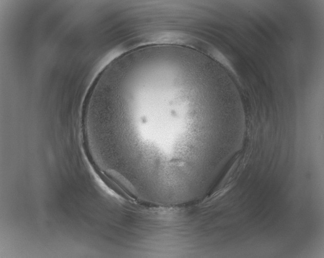 X0000082161087200701191235