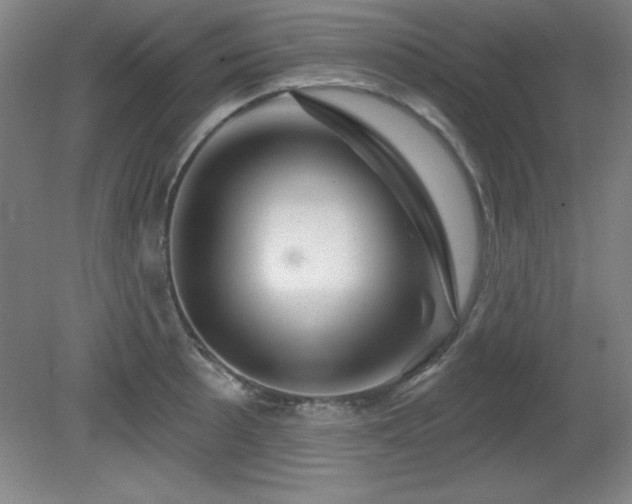 X0000082161089200701191235