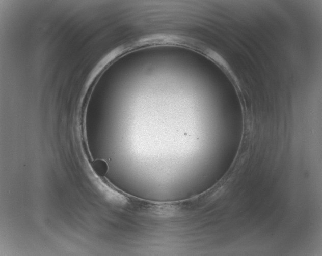 X0000082161090200701191235