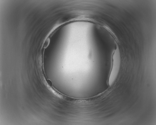 X0000082161092200701191235