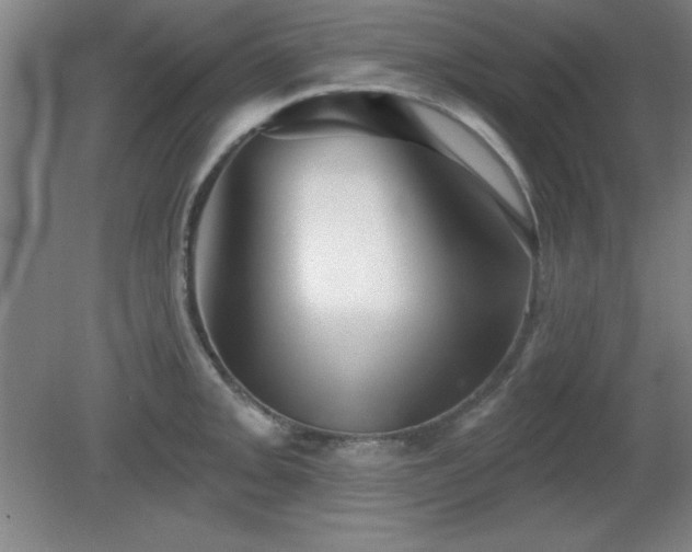 X0000082161093200701191235