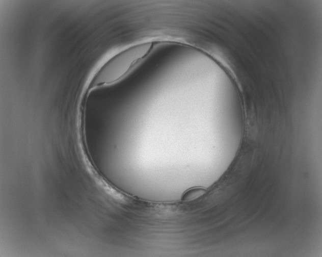 X0000082161096200701191235
