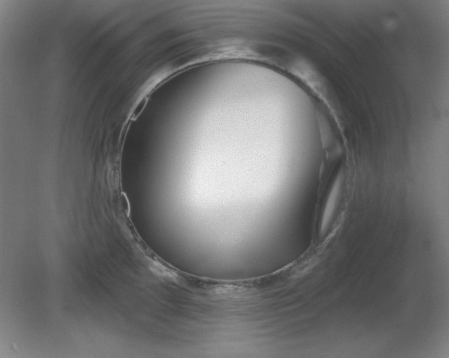 X0000082161097200701191235