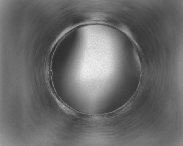 X0000082161101200701191235