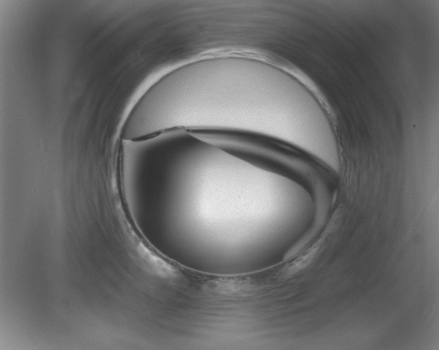 X0000082161102200701191235