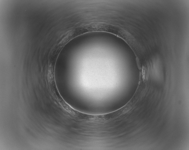 X0000082161107200701191234