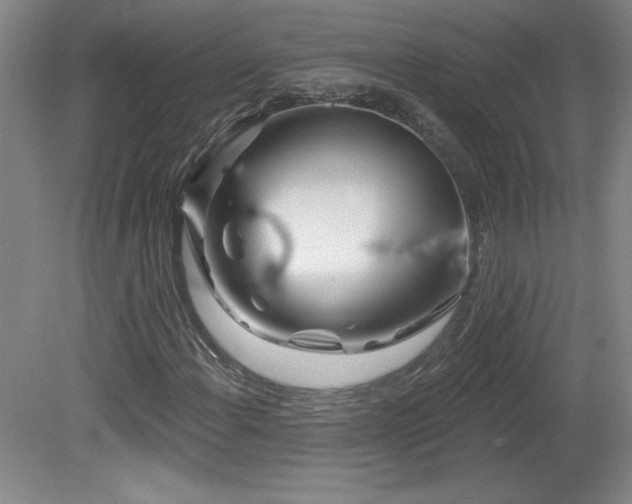 X0000082161108200701191234