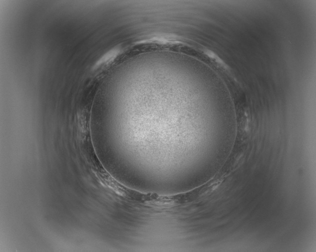X0000082161110200701191234
