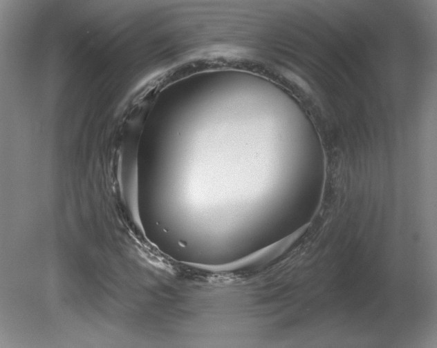 X0000082161112200701191234