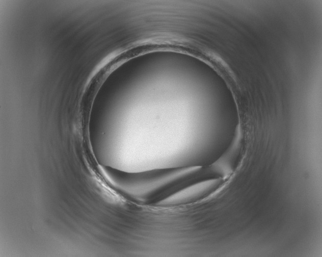 X0000082161114200701191234