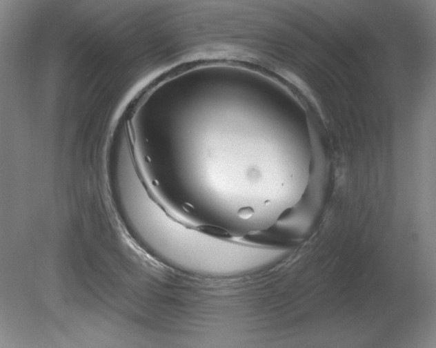 X0000082161120200701191234