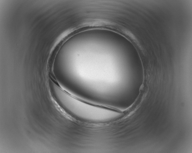X0000082161122200701191234