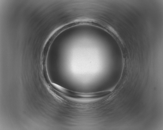 X0000082161124200701191234