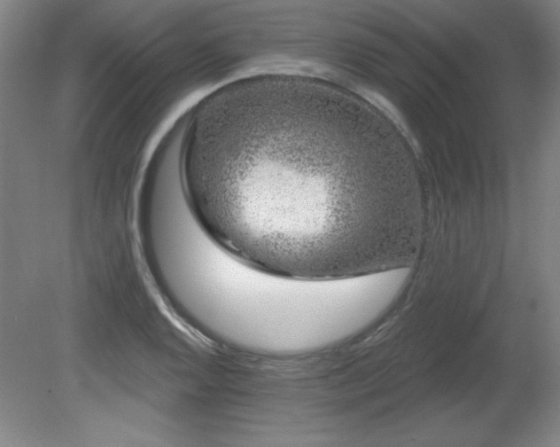 X0000082161128200701191234