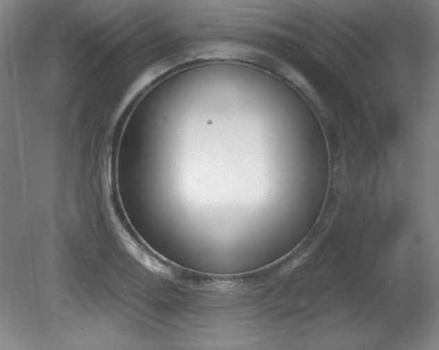 X0000082161130200701191235