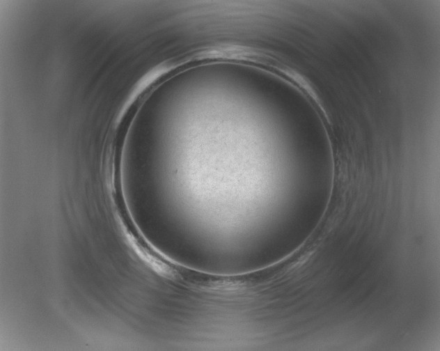 X0000082161131200701191235