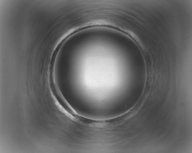 X0000082161134200701191235
