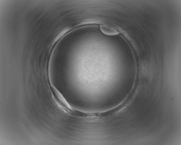 X0000082161137200701191235