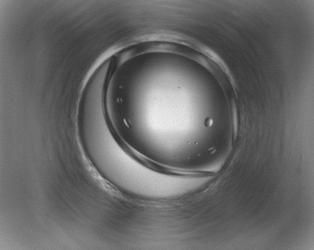 X0000082161138200701191235