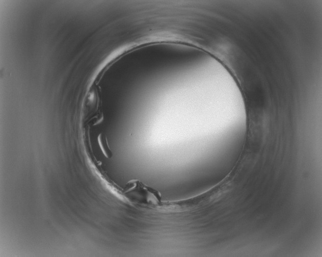 X0000082161142200701191235