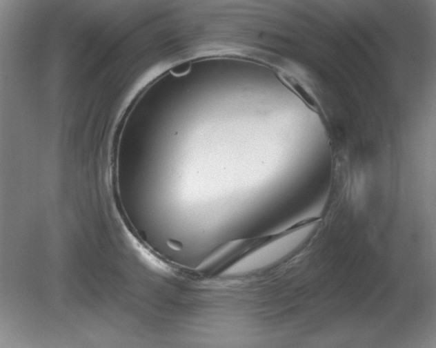 X0000082161143200701191235