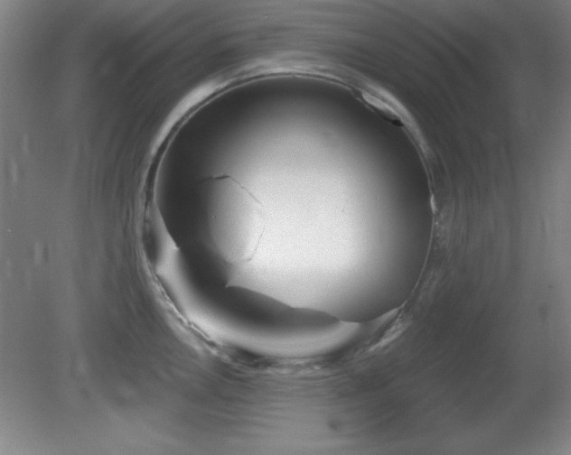 X0000082161146200701191235