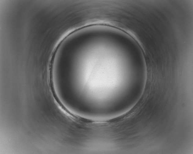 X0000082161151200701191235