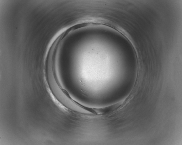 X0000082161152200701191235