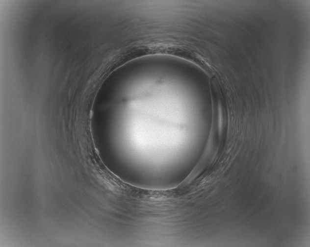 X0000082161153200701191234