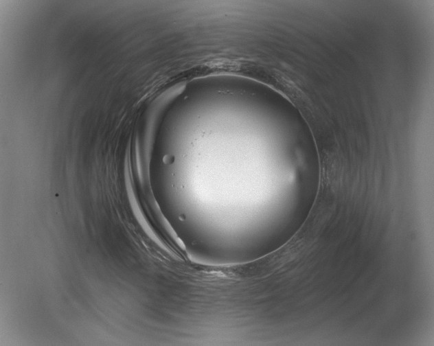 X0000082161154200701191234