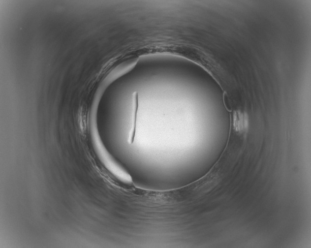 X0000082161155200701191234