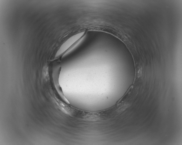 X0000082161156200701191234