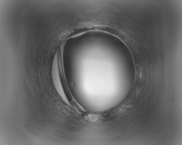 X0000082161157200701191234
