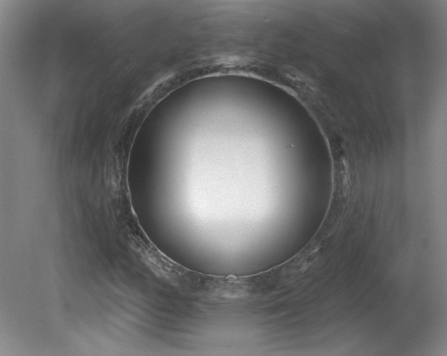 X0000082161158200701191234