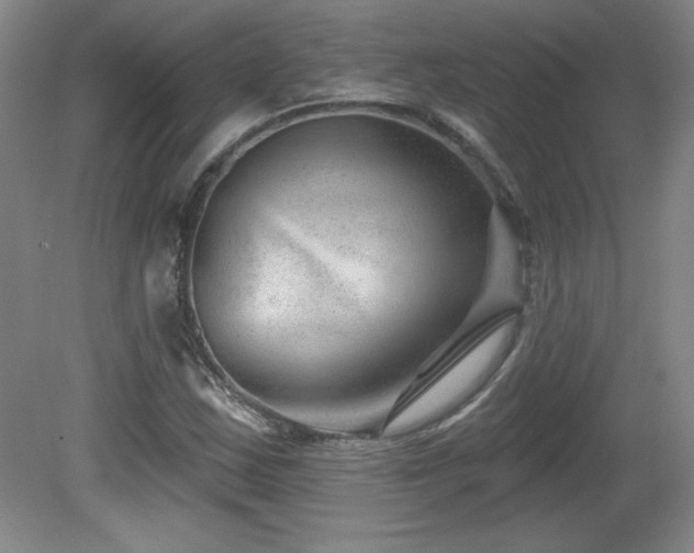 X0000082161163200701191234
