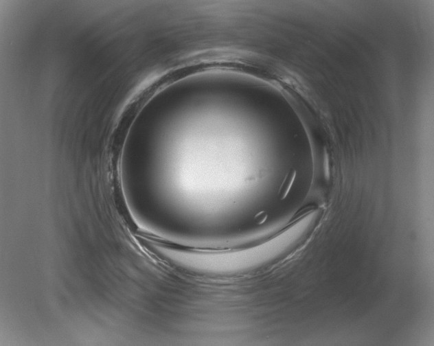 X0000082161164200701191234