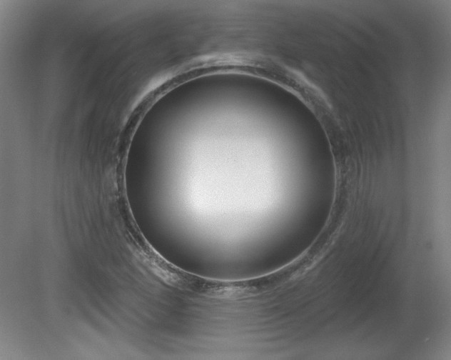 X0000082161166200701191234
