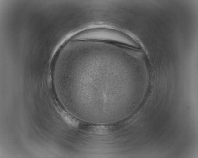 X0000082161167200701191234