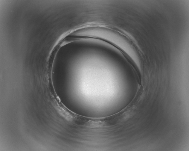 X0000082161168200701191234