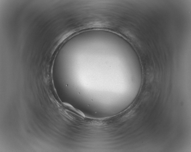 X0000082161170200701191234