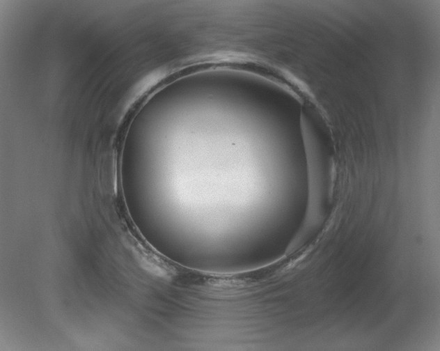 X0000082161171200701191234