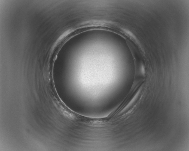 X0000082161172200701191234