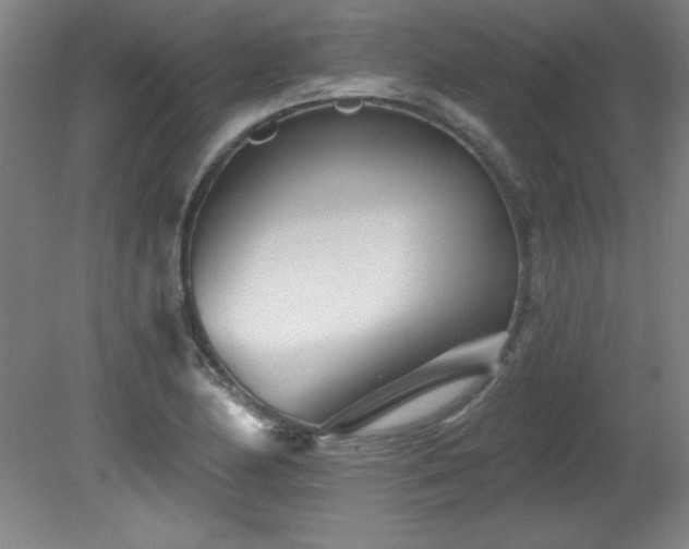 X0000082161174200701191234