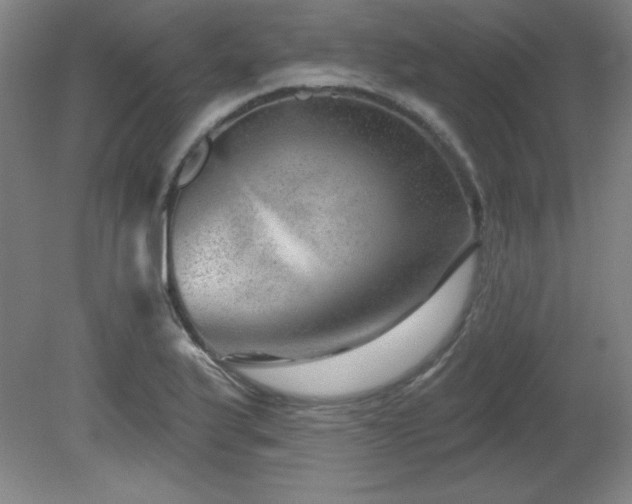X0000082161175200701191234